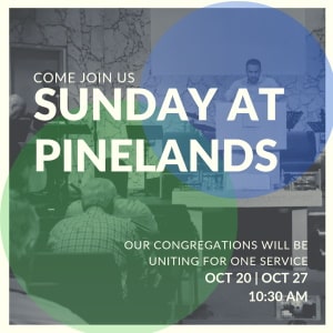 Reconcile @ Pinelands Reconcile @ Pinelands